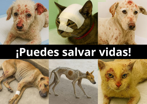 ¡Puedes salvar vidas!